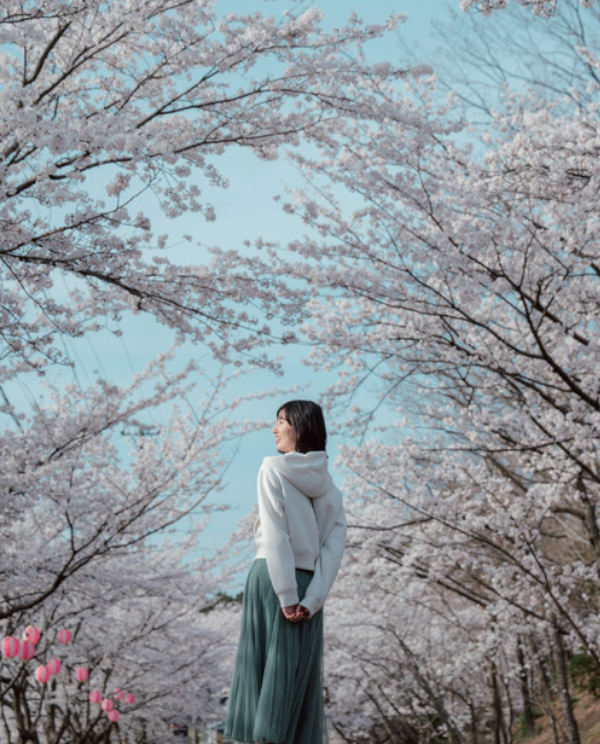 タップで説明を表示