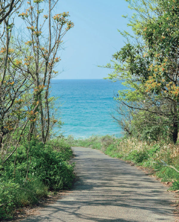 タップで説明を表示