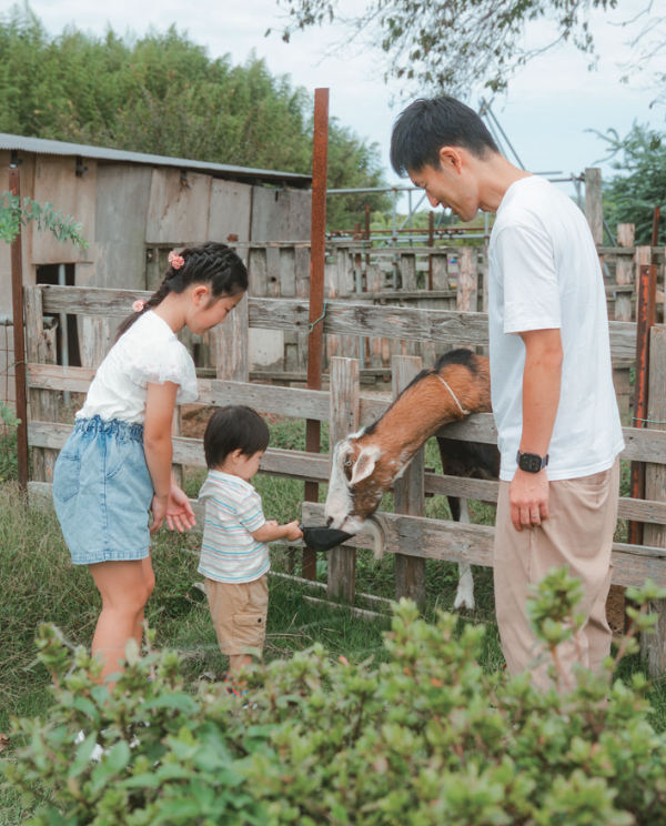 タップで説明を表示