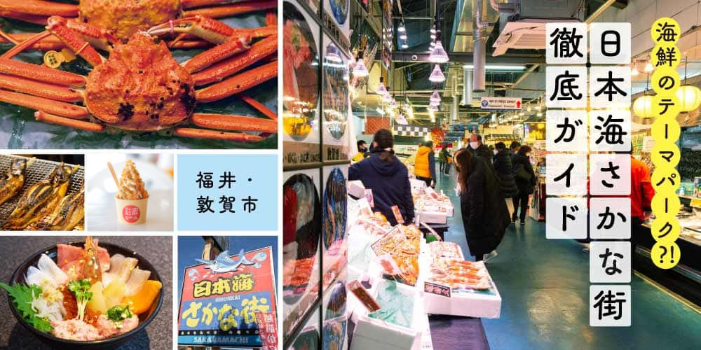 スライド画像 3