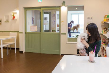 Dog Salon&Cafe chienka(シアンカ)