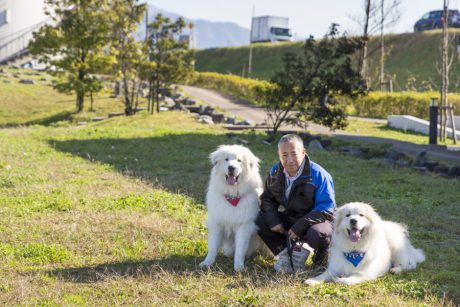 うわさの看板犬＆猫に会えちゃう！ 動物好きにはたまらない 福井県内のお店あれこれ。