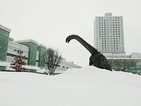 【メディアポリス】久米宏氏、「恐竜王国・福井」を知らなかった堀井美香アナを諭す。