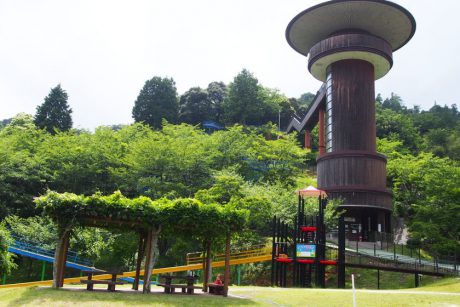 おおい町の「きのこの森」は、大人も楽しいコスパ抜群の遊び場です！