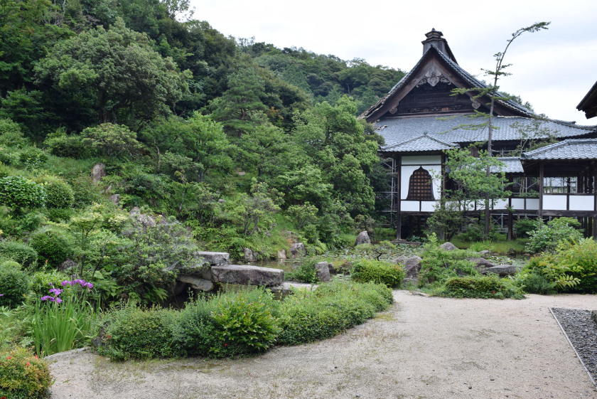 国指定名勝！ 西福寺（敦賀市）庭園のヒーリングパワーがスゴかった。
