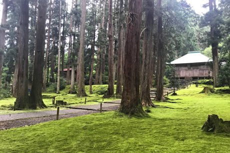 福井恐竜博物館近くで絶対行くべきスポット8選。地元民が大プッシュ!!【2022年版 定番から超穴場まで】