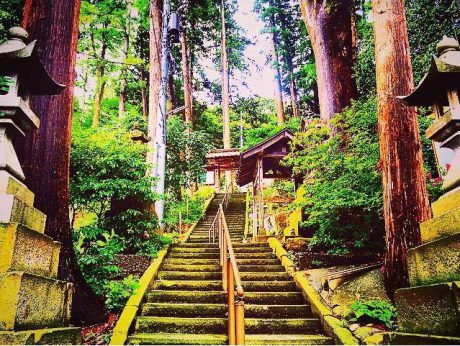 @temple Yoga 寺ヨガ