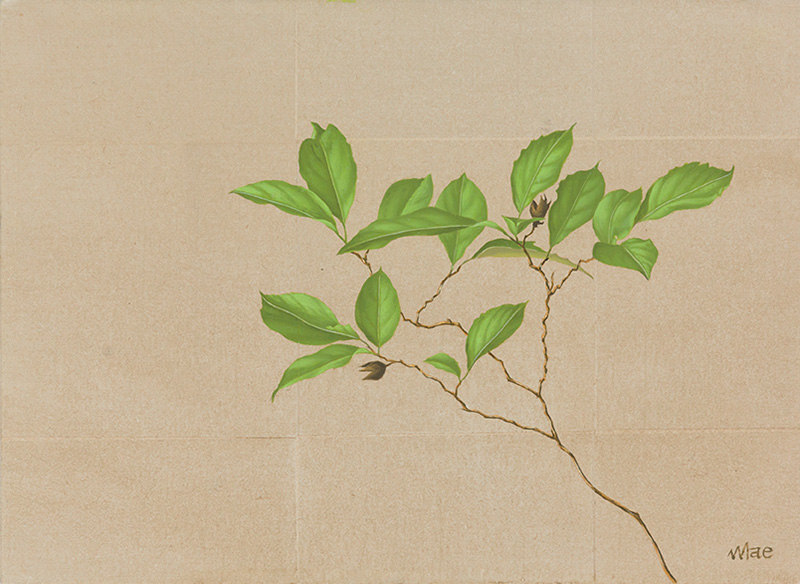 前 壽則(まえ・ひさのり) 展「座観Ⅲ」