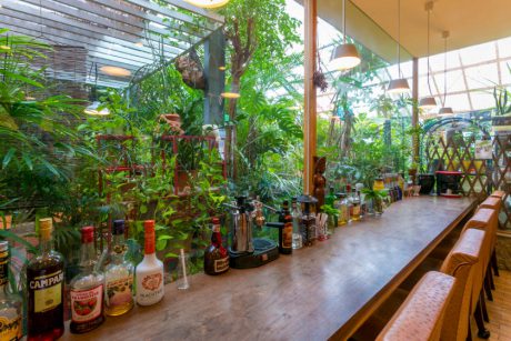 green parlour ベルベール