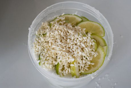 福井市にある「三七味噌」で、米麹を使ったワークショップを体験しよう。