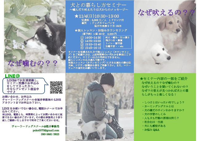 犬との暮らし方セミナー 噛んだり吠えたりは犬からのメッセージ 福井の旬な街ネタ 情報ポータル イベント ふーぽ