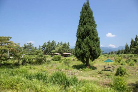 勝山市の「ハーブガーデン 空のテラス」で大自然とハーブティーに癒されたよ♪