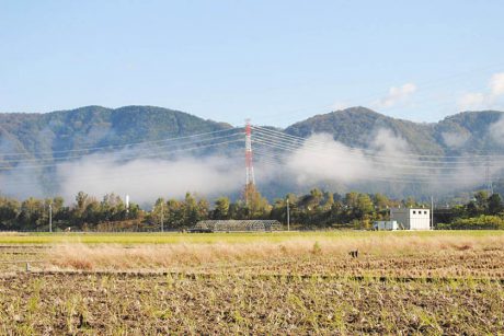 煙？ 火事？ おやおや？【ヒトコマ】