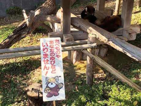 要するに、危険だっていうことです！【ヒトコマ】