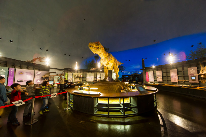 福井県立恐竜博物館 ※2023年夏まで臨時休館中 メイン画像