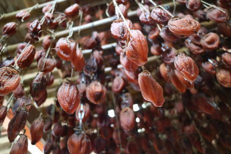 福井特産！ 美味しすぎる「今庄つるし柿」の秘密とは？ 作り方を潜入ルポ。