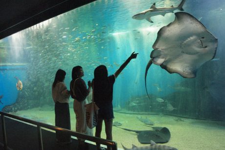 越前松島水族館