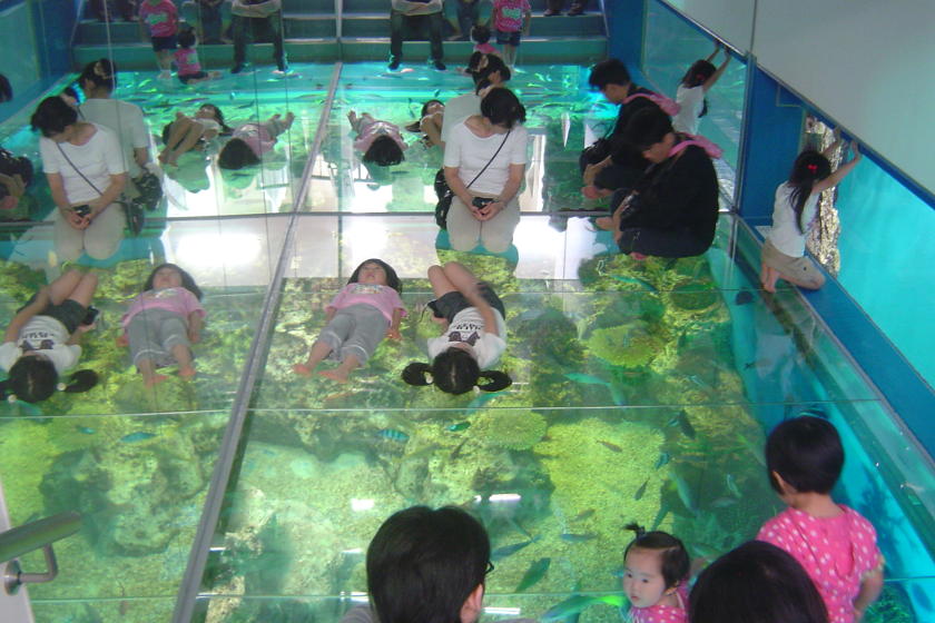 越前松島水族館 サブ画像