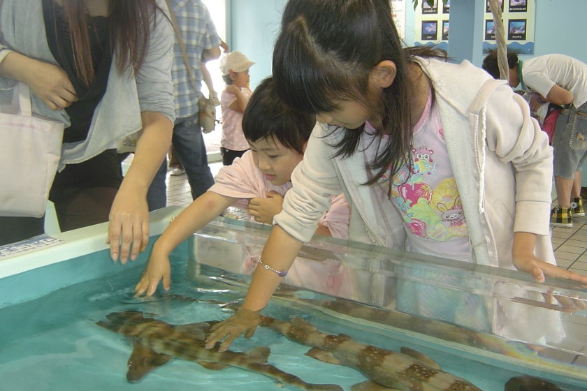 越前松島水族館 サブ画像