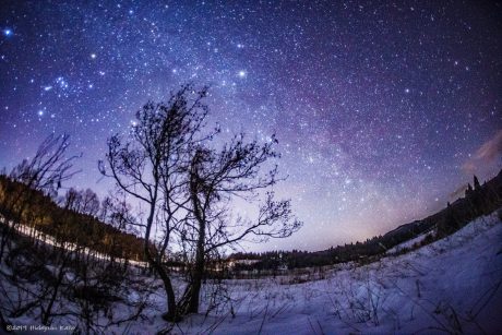 冬なのに「天の川」！？ 福井県大野市の六呂師高原で見てきました！【ふくい星空写真館】