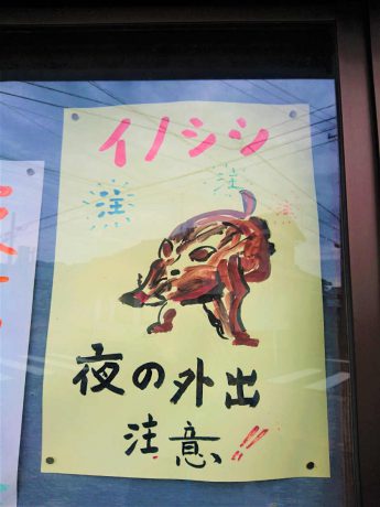 今年の年賀状ですか？ ・・・ちがうようですね。【ヒトコマ】