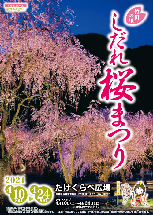 竹田の里しだれ桜まつり 福井の旬な街ネタ 情報ポータル イベント ふーぽ