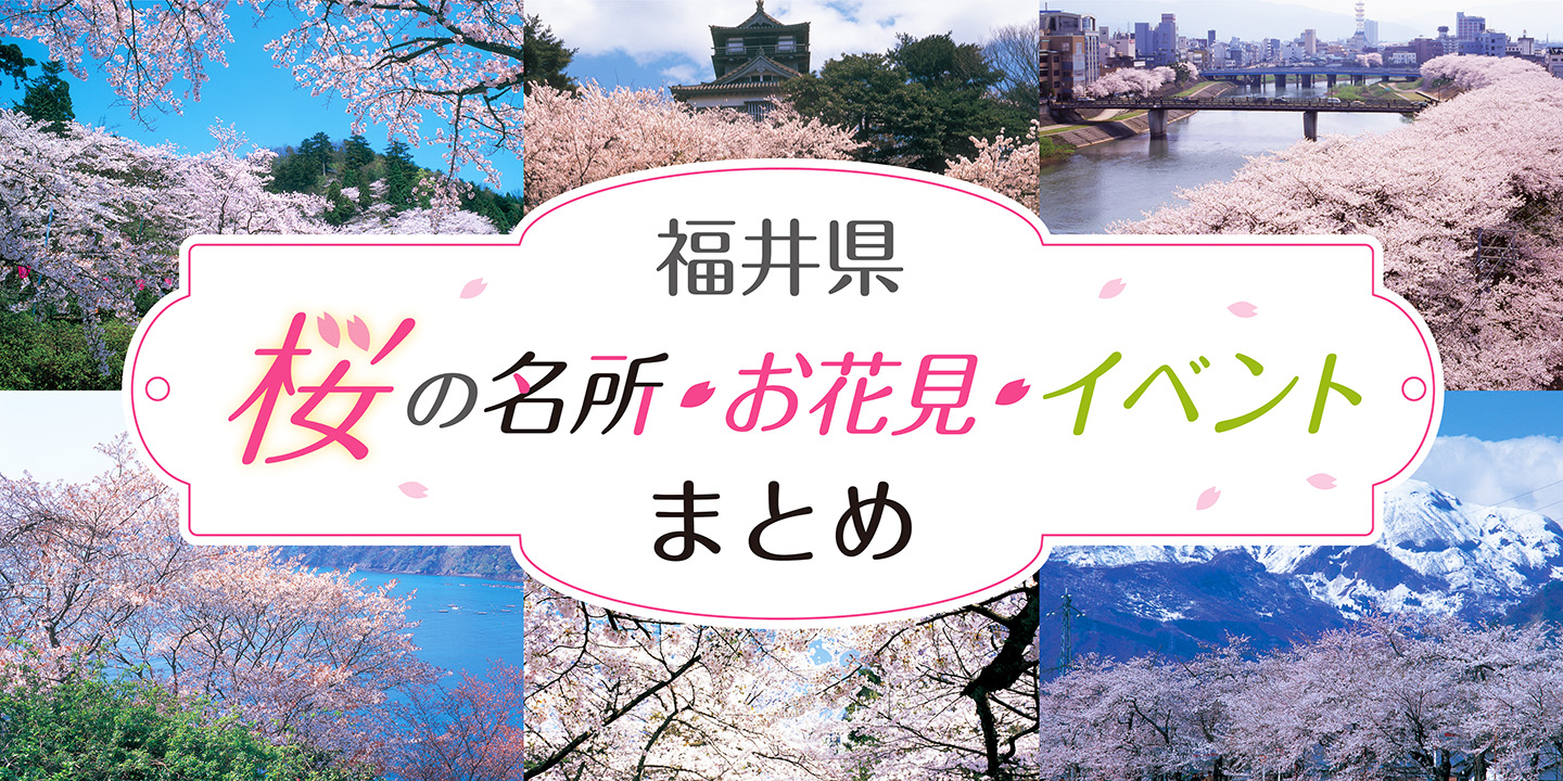 【2022年版】福井県の桜の名所徹底ガイド！ 桜まつりやライトアップなどイベント情報も紹介します。