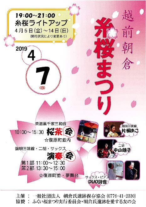 越前朝倉 糸桜まつり