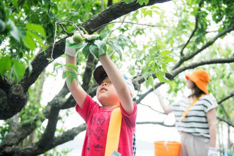 福井でしか味わえない体験がいっぱい！！ 無料のガイドブック「ふくのね」の最新号をさっそく見てみたよ♪