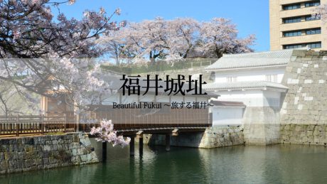 30秒で見る美しい風景動画『福井城址』【Beautiful Fukui～旅する福井～】