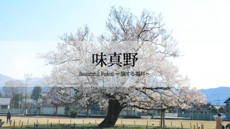 30秒で見る美しい風景動画『越前市味真野小学校の桜』【Beautiful Fukui～旅する福井～】