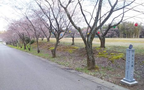 人気漫画「ちはやふる」の聖地・あわら市に新名所「あらた坂」誕生！お花見も楽しめます♪【ちょいネタ】