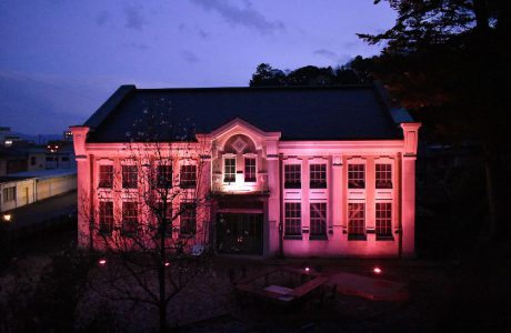 平成最後のお花見に出かけよう！ 今年の足羽山はどこもかしこもさくら色に染まっていますよ。（4/14まで）