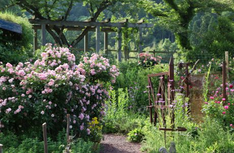 「ひつじのショーン」にも会える！ 滋賀県米原市にあるイングリッシュガーデン「ローザンベリー多和田」はドライブ旅に最高です。