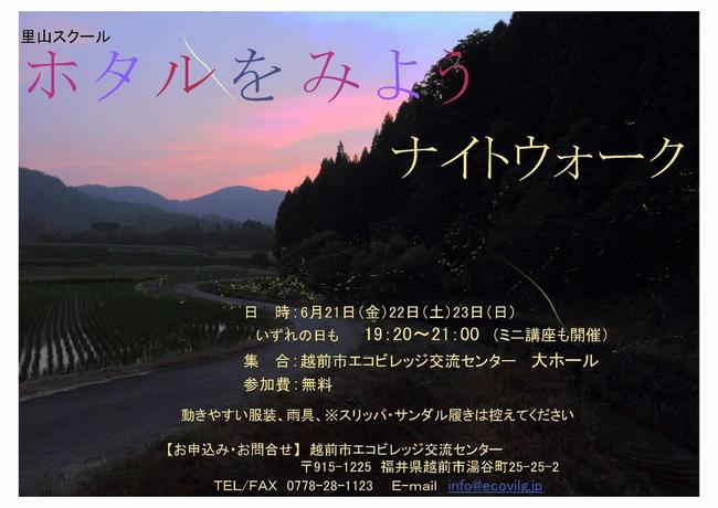 ホタルをみよう!ナイトウォーク