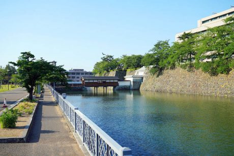 8/8(金)に福井城址で「池の水を抜く」テレビ東京の番組収録をするみたい。8/1(金)まで100名近く参加者募集中！