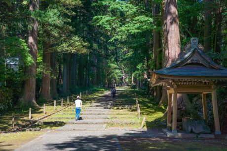 福井県内のおすすめウォーキングコース6選。ランニングにもぴったりですよ！