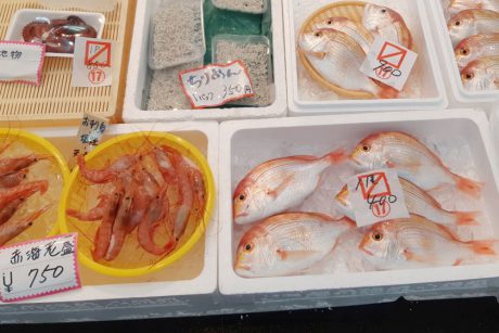 小浜で魚を買うなら若狭小浜お魚センターがオススメ！七輪で焼いてその場で食べれちゃいます♪