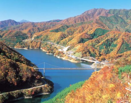 地元ガイドと行く「バスで行く絶景の九頭竜湖紅葉めぐり」