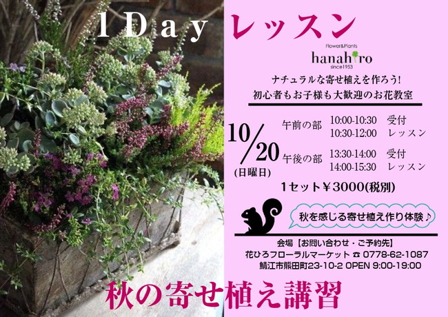 『10月 hanahiro 1Day レッスン』～秋の寄せ植え講習～ メイン画像