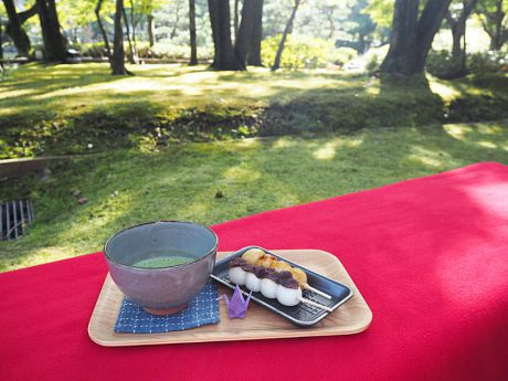 秋の養浩館庭園で紅葉を愛でながらお団子を頬張ろう。期間限定の「庭カフェ」が始まっていますよ！