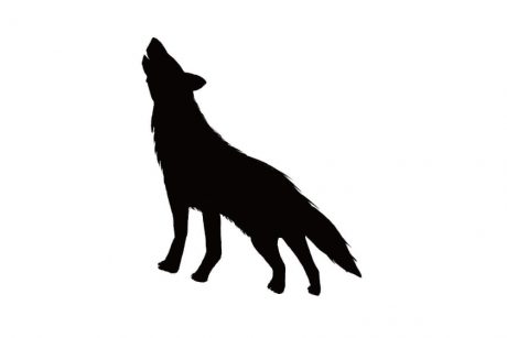 「〝福井オオカミ〞の真実とは？」／司書・歴史研究者 長野栄俊さん③【ふーぽコラム】