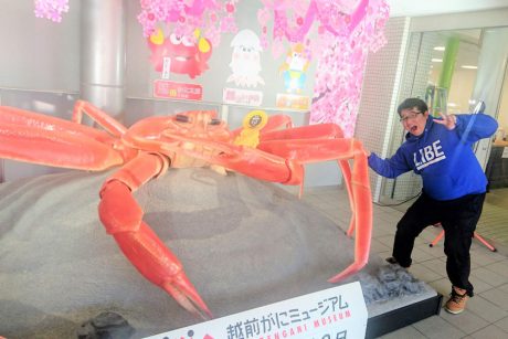 カリマンタン会田のツッコミ日記～カニの世界を知ってるかに？編～【住みます芸人日記】