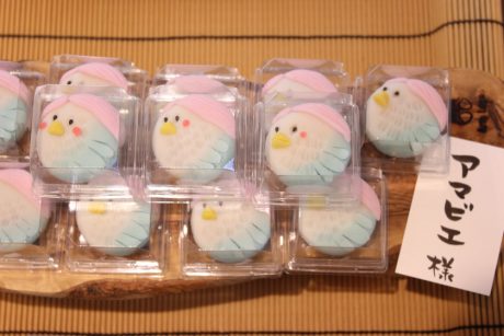 妖怪「アマビエ」がいろんなお菓子に変身！？ 福井県内あちこちのお店でアマビエお菓子を販売中！ 食べてコロナ終息祈願したよ。