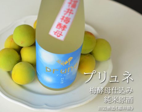 ★受付期間終了★【プレゼント】田辺酒造の越前岬 天然梅酵母仕込み純米原酒「プリュネ」500mlを5名様にプレゼント！