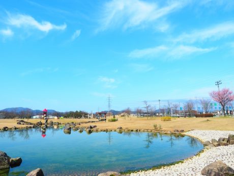水と緑がいっぱい！ 公園でリフレッシュできる親子時間〜瓜生水と緑公園〜【越前市】