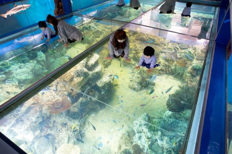 坂井市・あわら市の人気施設を500円引きで楽しめちゃう♪「がけっぷちリゾート周遊チケット」で満喫しよう！