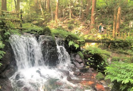 モグモグパクパクの「久しぶりにバスツアーのお仕事に行ってきました！ 」【福井よしもと芸人日記】