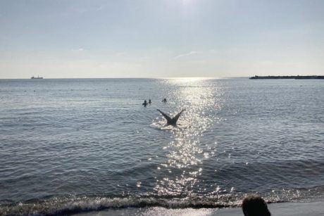 「やくちゃん（仮）」から改名？！ そして職に就く・・・。【福井よしもと芸人日記】