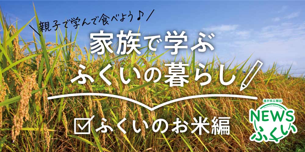 福井県の広報誌【ＮＥＷＳふくい】「家族で学ぶ ふくいの暮らし」を読んで“ふくいのお米”について知ろう♪